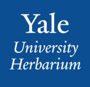 Yale University Herbarium